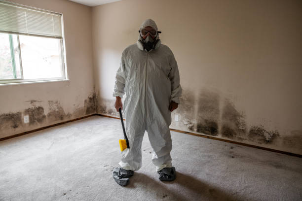 Best Post-Flood Mold Remediation in Genola, UT